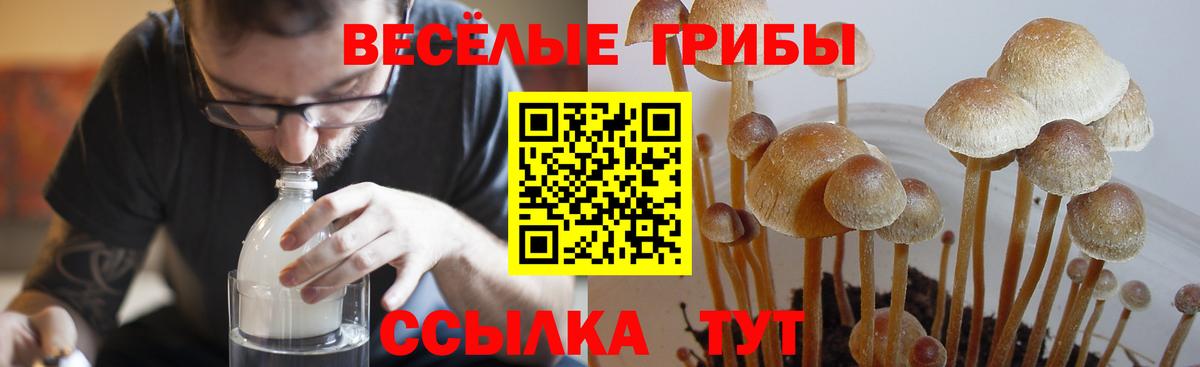 Галлюциногенные грибы GOLDEN TEACHER Усть-Джегута